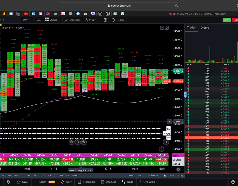 Nifty 50 Future - 30 Minutes Timeframe  order-flow Chart Showing Market Trends  for Today Market 