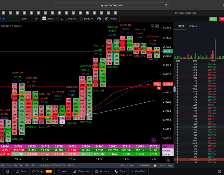 Nifty 50 Future - 30 Minutes Timeframe  order-flow Chart Showing Market Trends  for Today Market 