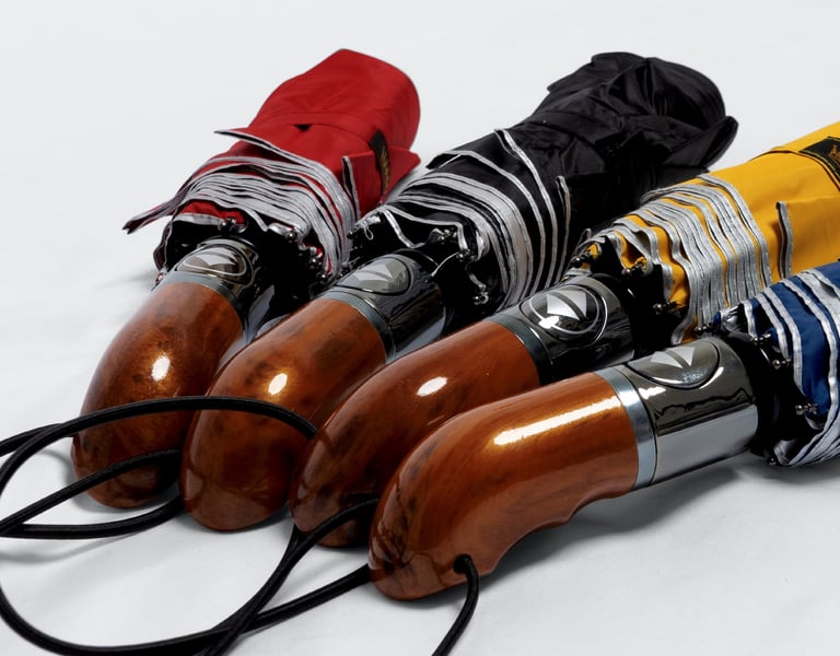 Istana Payung Isi Form disini