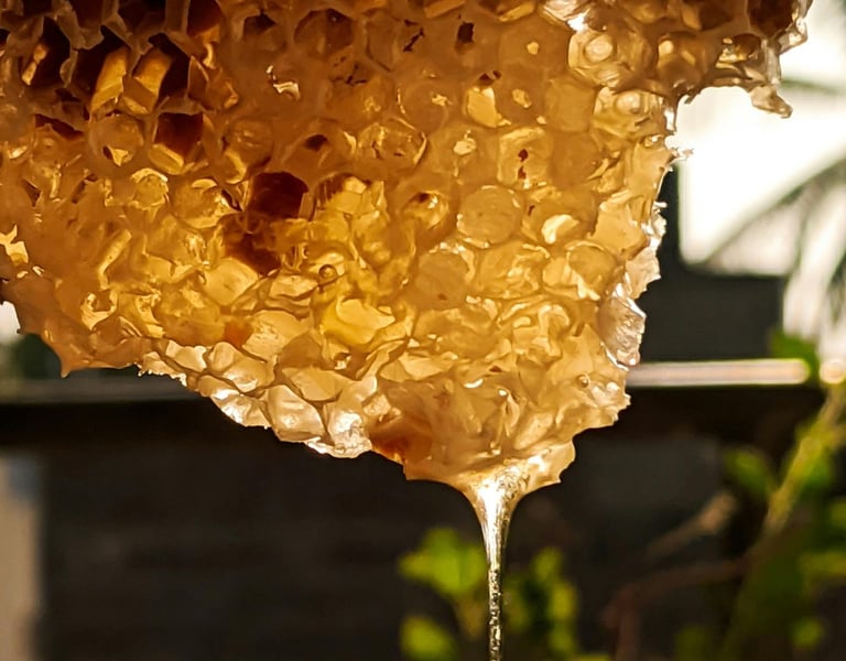 Golden organic honey dripping from a natural beeswax honeycomb under warm sunlight.