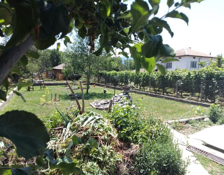 Градината на Hedgie Wilder с фонтан, цветя, осветление, дърво и щъркел, който търси храна в тревата