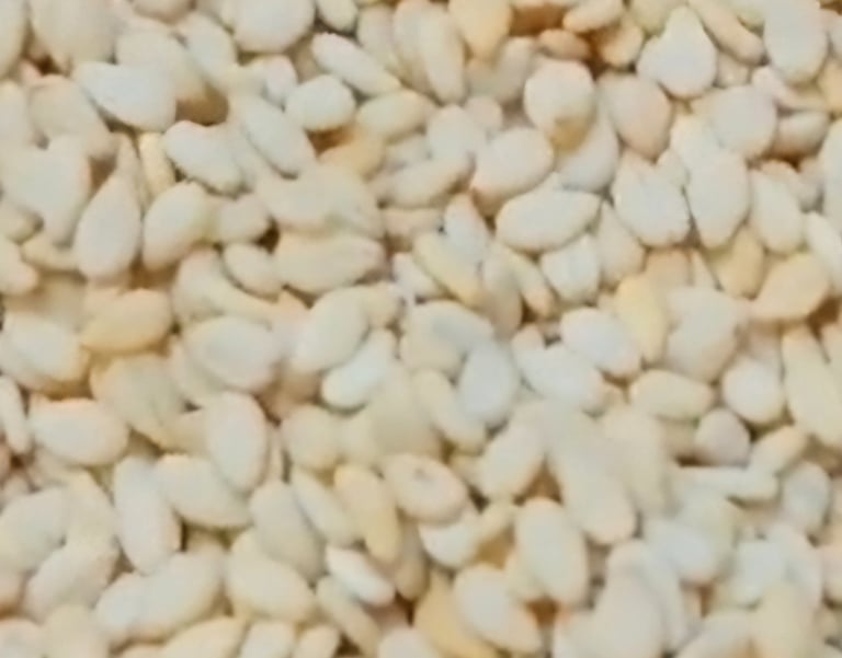 Biggest Sesame Seed Exporters in Pakistan