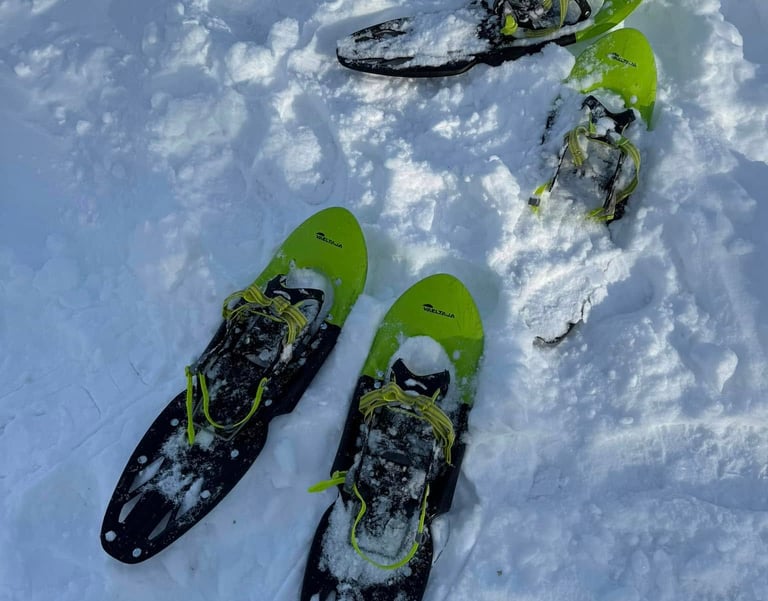 Two pairs of lime green snowshoes resting on a deep, white snow-covered surface for winter hiking.