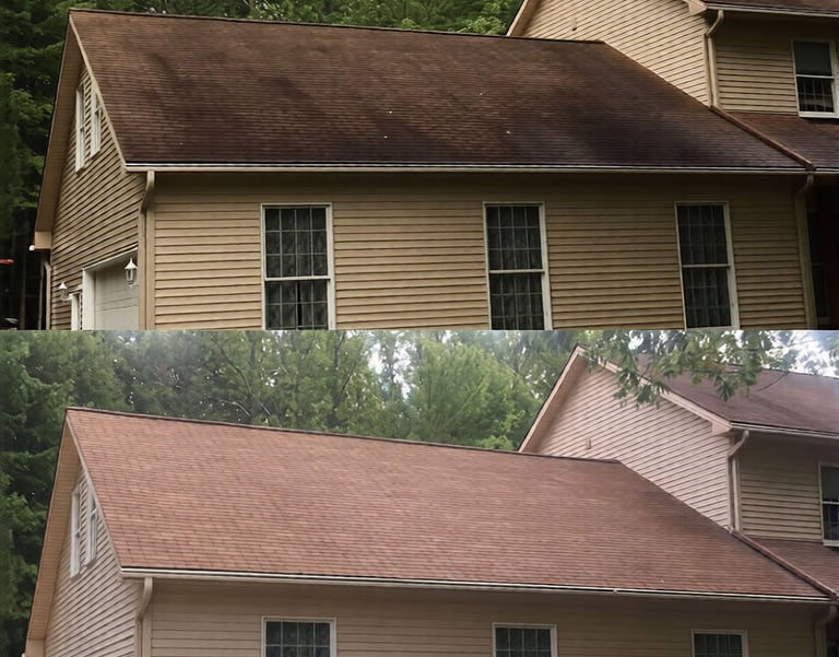 Roof stain removal in Estancia Wesley Chapel FL soft wash cleaning black streaks and algae buildup