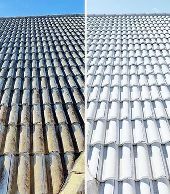 Safe tile roof cleaning and lichen removal for a luxury home in Lakeshore Ranch FL