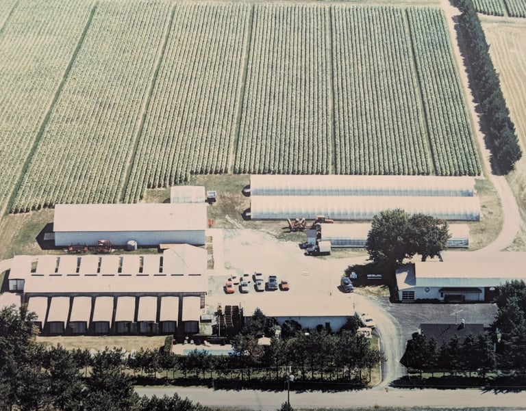 Photo de la Ferme Daniel Coutu - année 1989