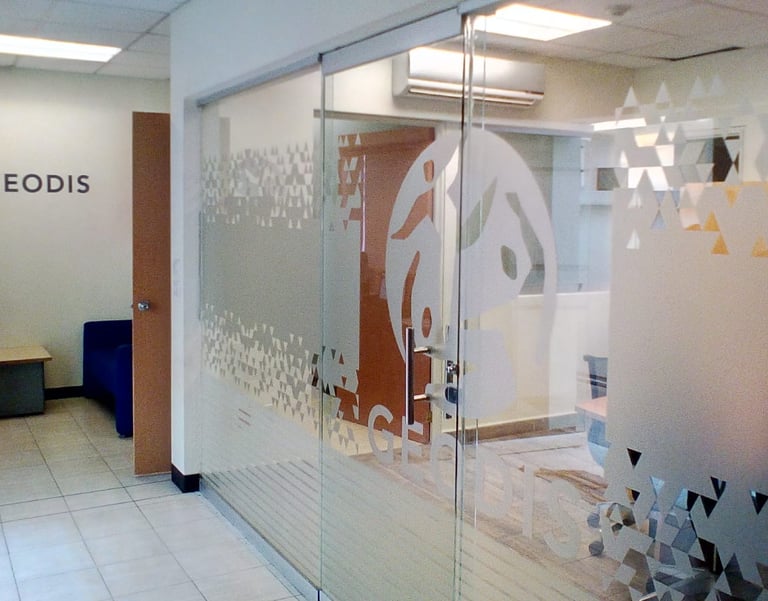 Comprar vinilos personalizados