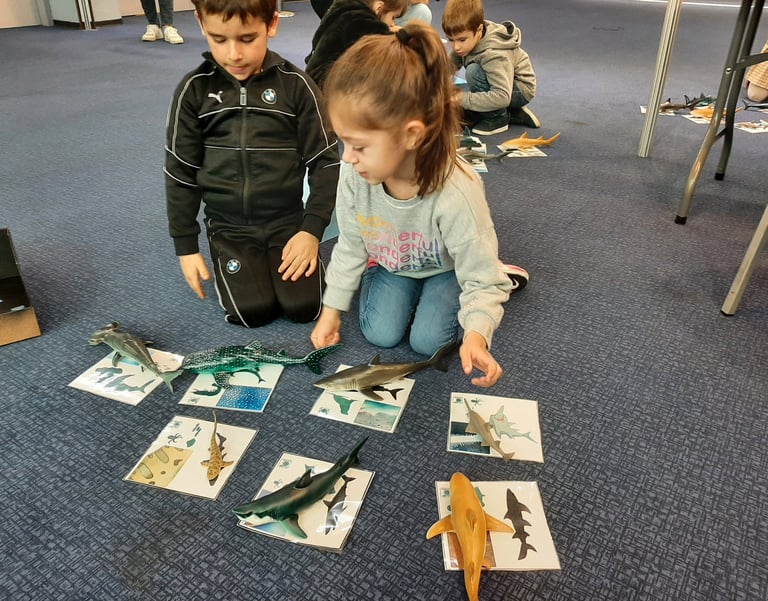 2 enfants avec la boite à requins