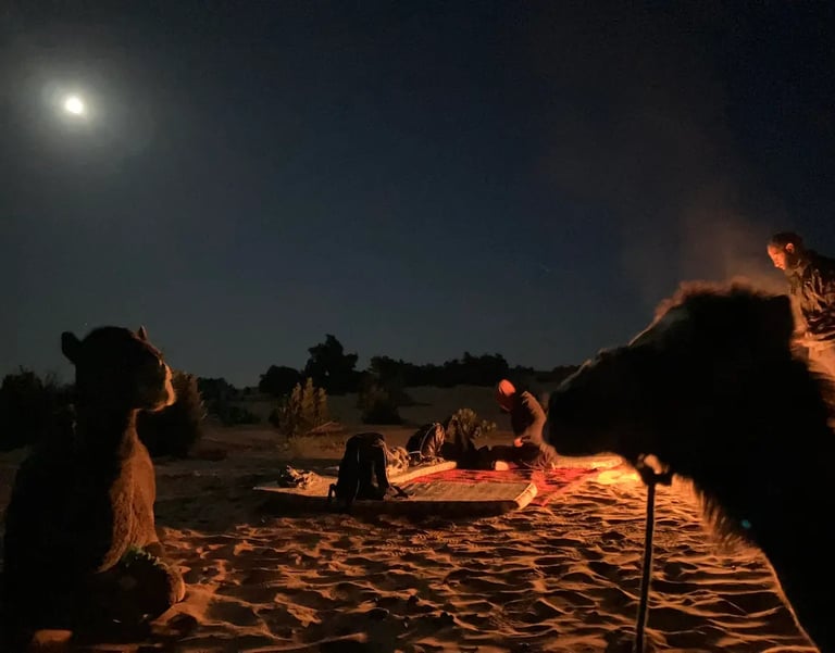 Night time view of two camel heads in sillhouette with travellers around a camp fire