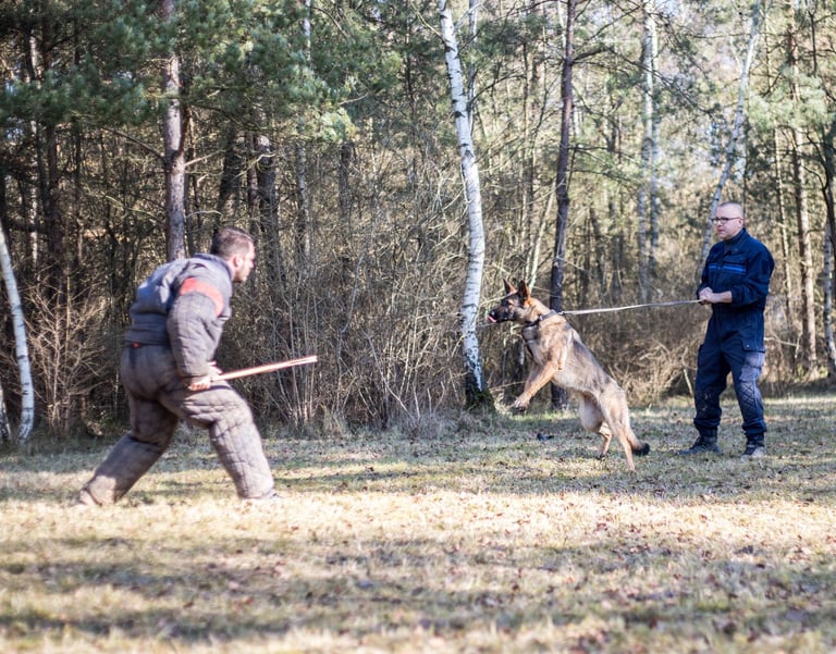 Un entrainement mordant police municipale