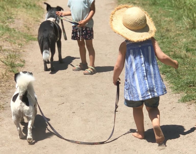 Dogs and Kids