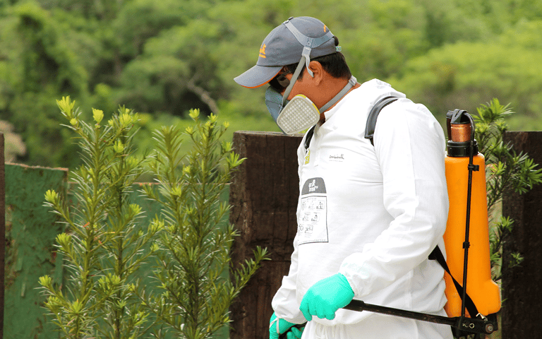 dedetização em jardim