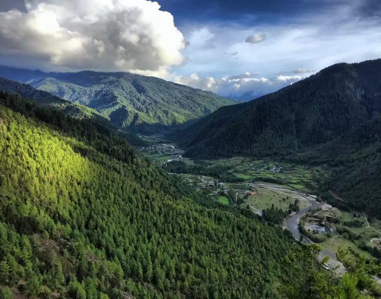 The-Pristine-Green-Forest-Cover-in-Haa-Valley-Western-Bhutan