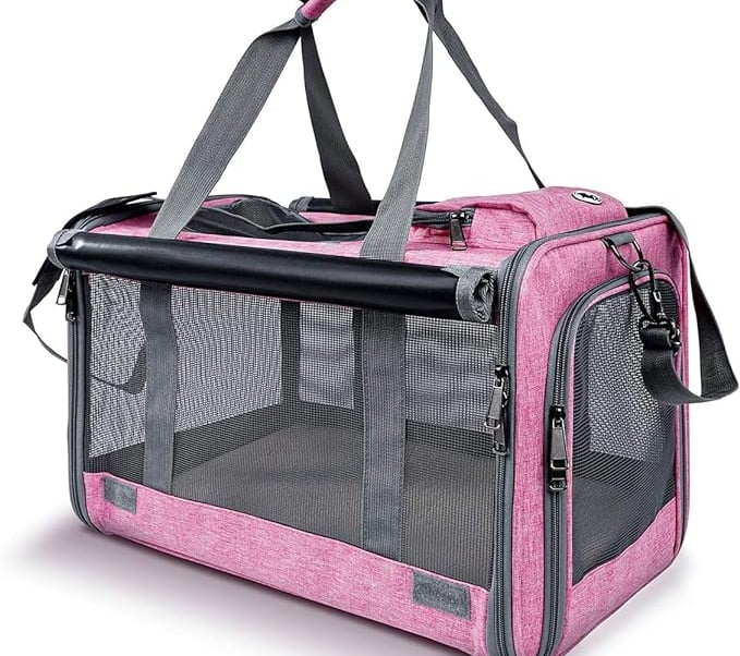 Hot Cross Buns suggested supplies - soft sided pet carrier