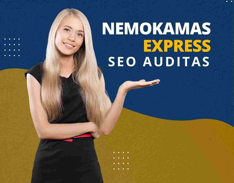 Nemokamas express seo auditas
