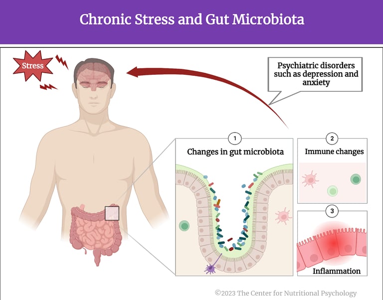 stress-gut connection