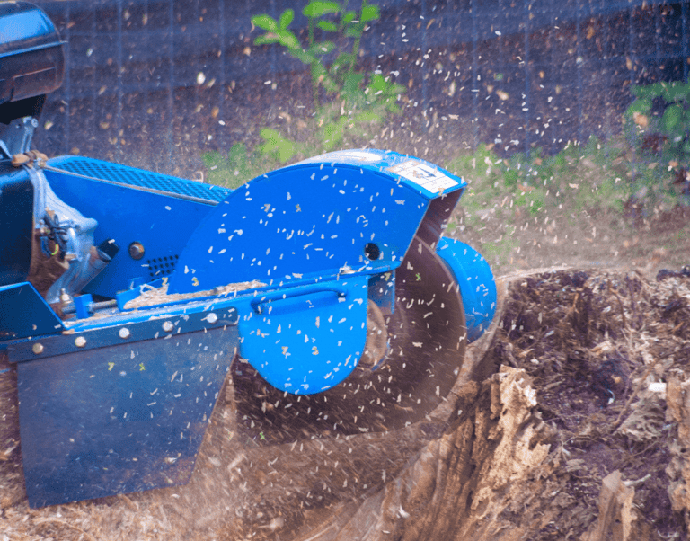 Stump Grinding