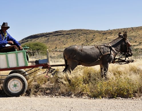 a man in a cowboy hat and a horse drawn carriage