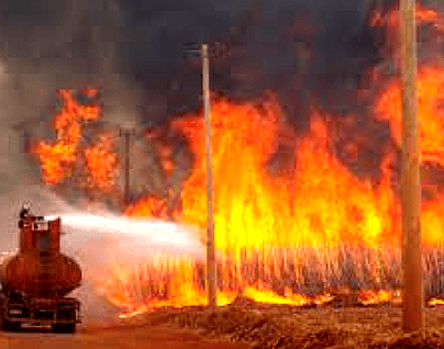 Massive wildfires in the Amazon region, 2024
