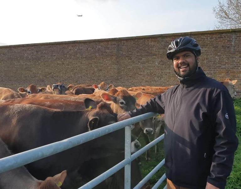 A smiling cyclist in a helmet standing by a metal fence petting Jersey cows on a rural farm.