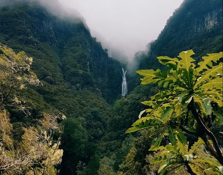 Levada 25 Fontes gorge with lush greenery and a cascading waterfall