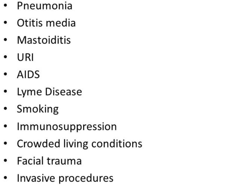 risk factors Fasting + Honey + Apitherapy = Natural Defense Against Bone Infections photo