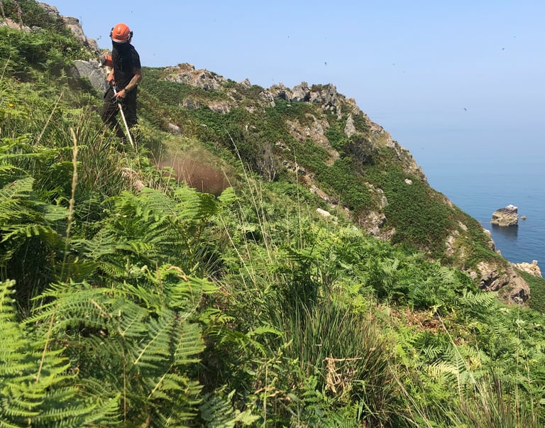 land_culture_services_conservation