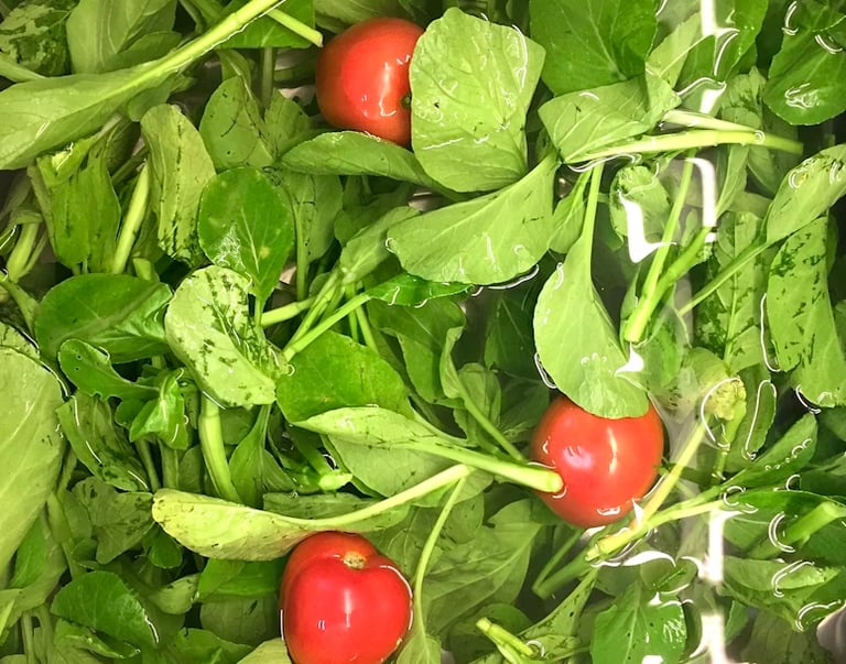 Alimentos limpos e desinfetados