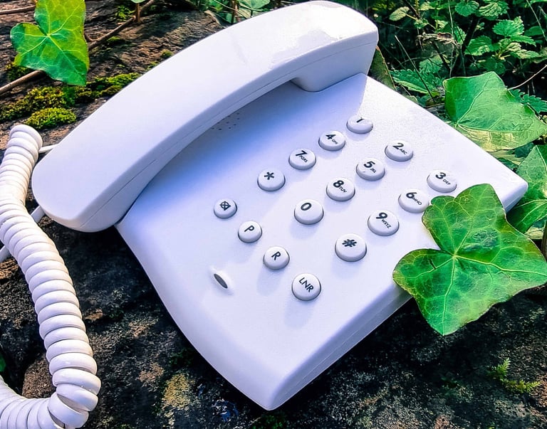 a telephone among green leaves