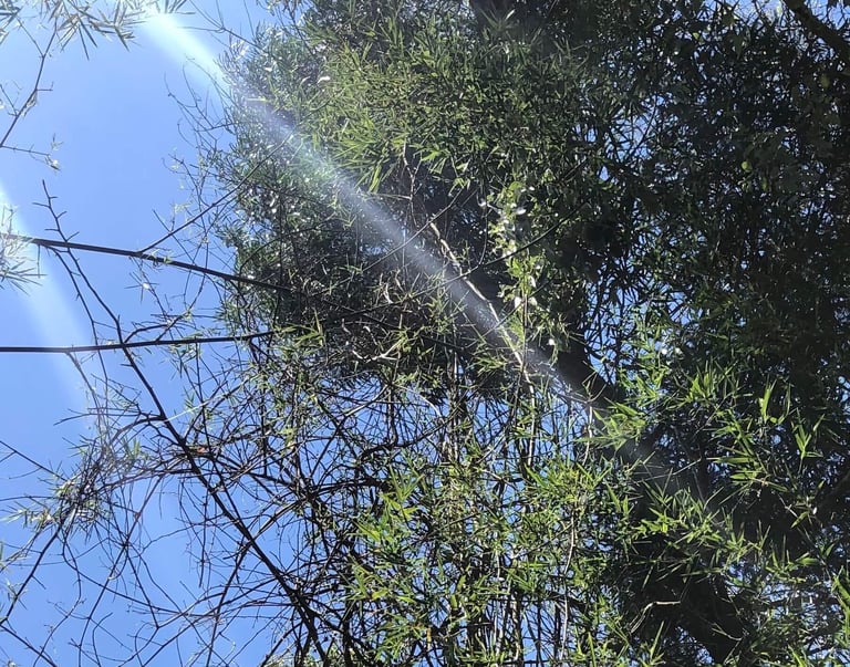 Šiandien tinkama diena gyventi