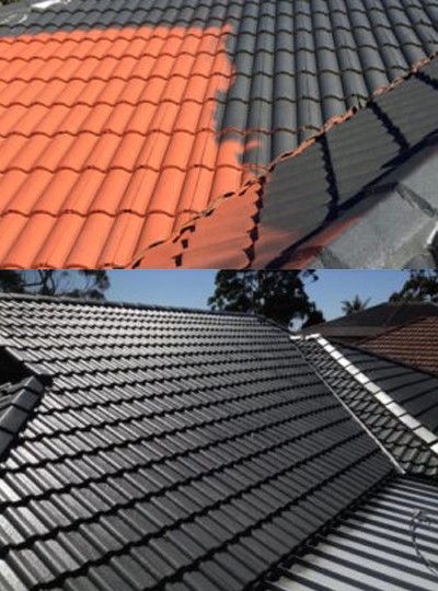 roof painting services near me