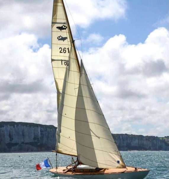 Voile classique Requin