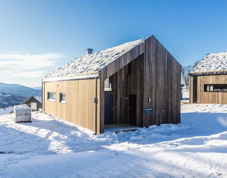 Wooden cabins