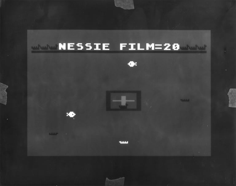 Manual 4.26. de Maxim Zmeyev : écran de Nessie retravaillé en tirage contact noir et blanc