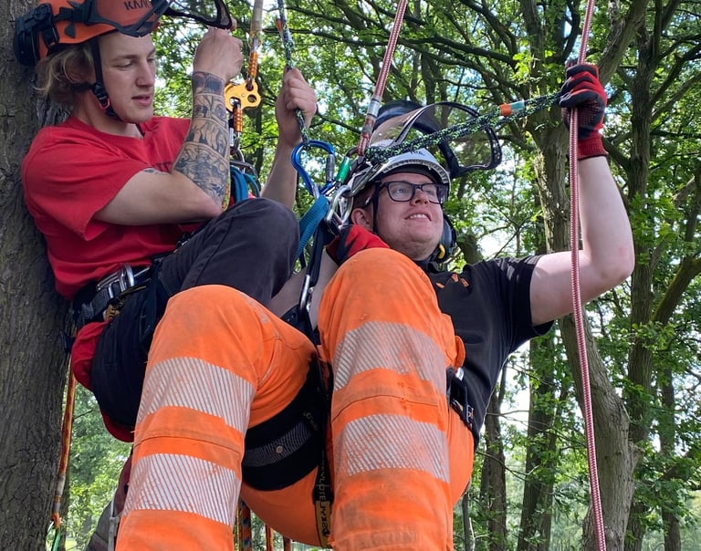 Tree Aerial rescue