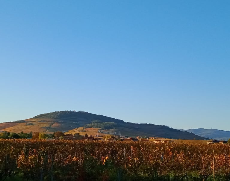 colline de brouilly automne