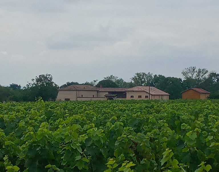 photo la grange bourbon