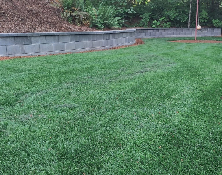 Lawn Sod Services in Portland, Lake Oswego, West Linn, Tigard, Oregon
