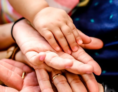 Transmission succession heritage conseil financier Bayonne Pays basque Landes 40