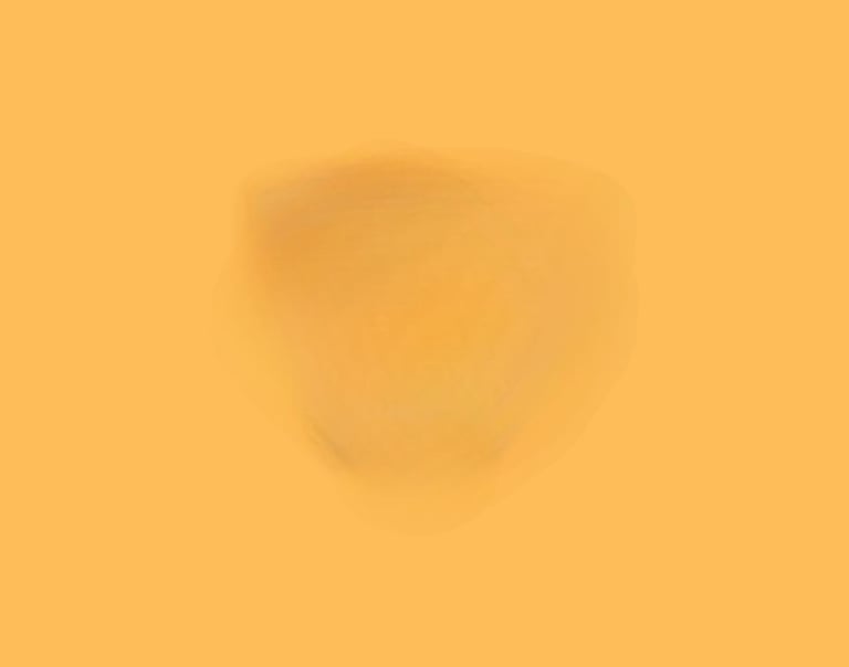 addestramento cani salerno