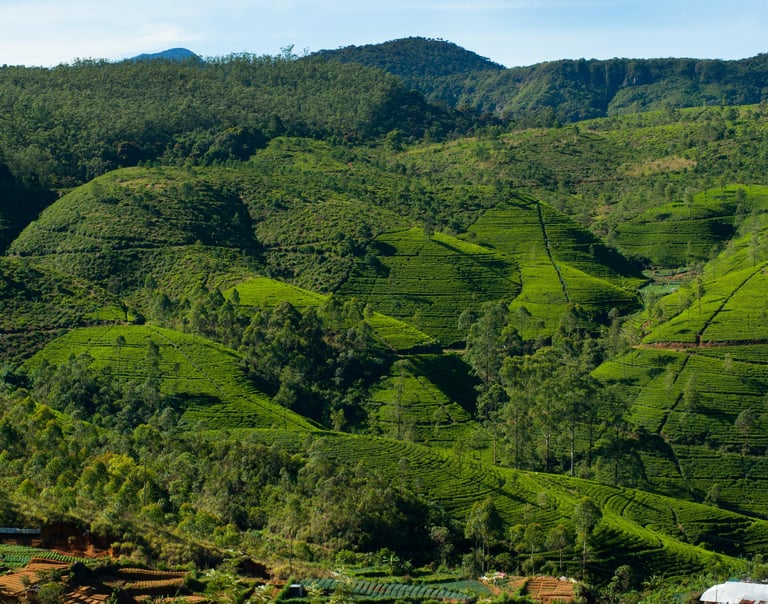 Nuwawa Eliya