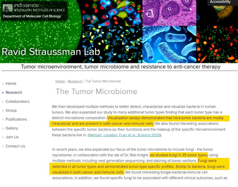 Ravid Straussman - Tumour-associated microbiome