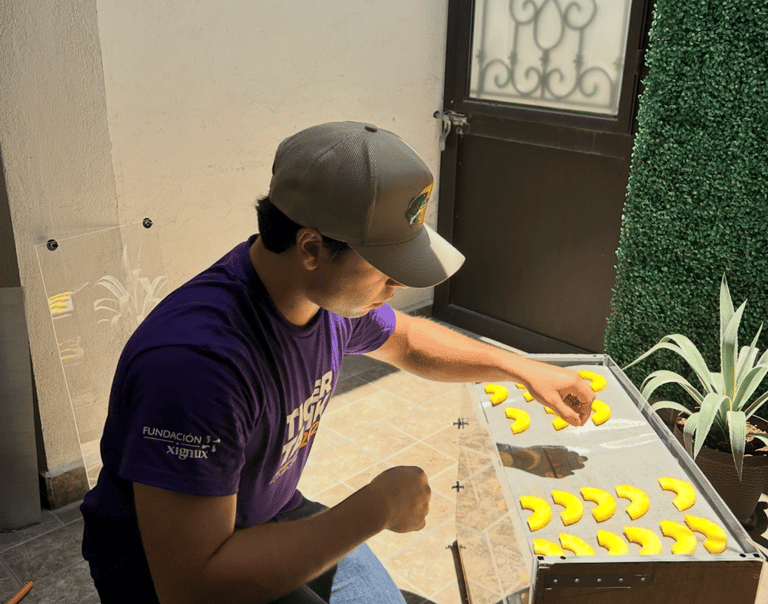 Cofundador de snacktein haciendo pruebas deshidratando rebanadas de piña en el sol