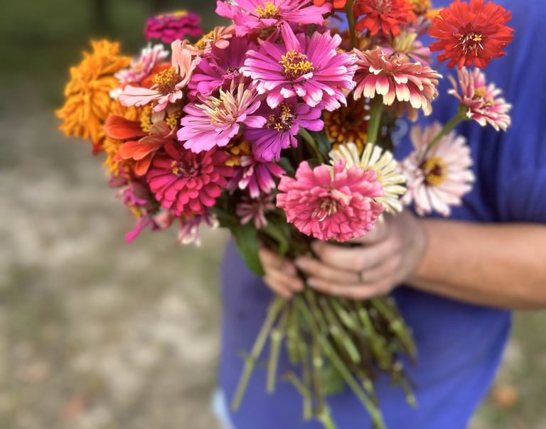 ZINNIAS!