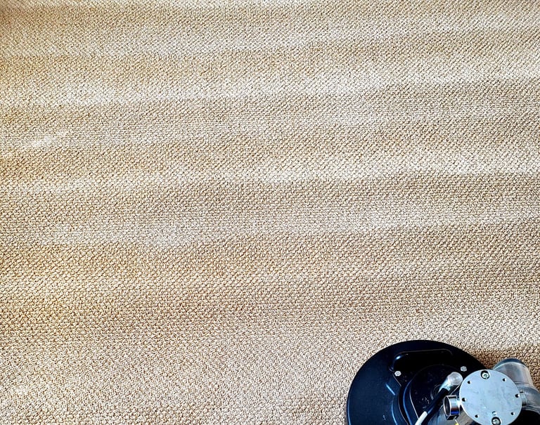 Organic Carpet Cleaning using the Tornado Powerhouse