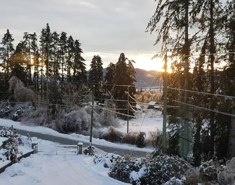 a snowy hilly road with a gate at the bottom leading to a snow cleared road