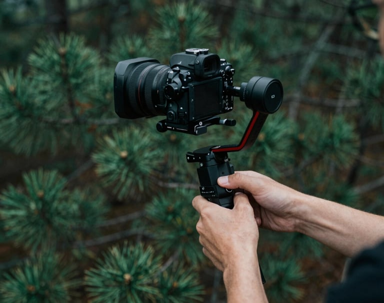 A top-down professional shot of a videographer's hands adjusting a stabilizer, with the deep green of a pine forest visible in the soft-focus background, incorporating #4C6A65 and #1A2F3C for a mood of artistic focus.