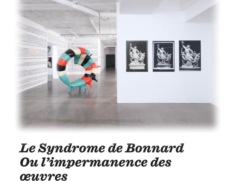 Vue de l'exposition "Le Syndrome de Bonnard, FRAC ile-de-France
