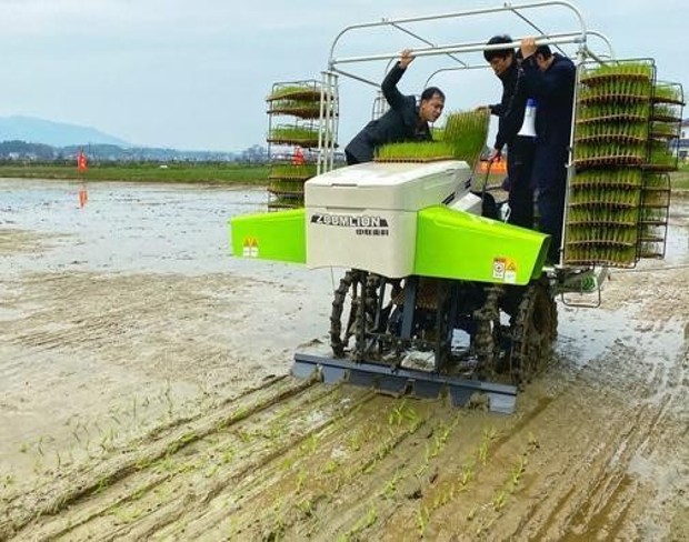 People operating the Electric Paddy Farming Equipment