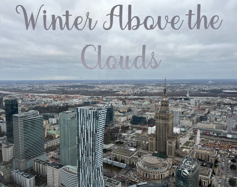 View from Varso Tower